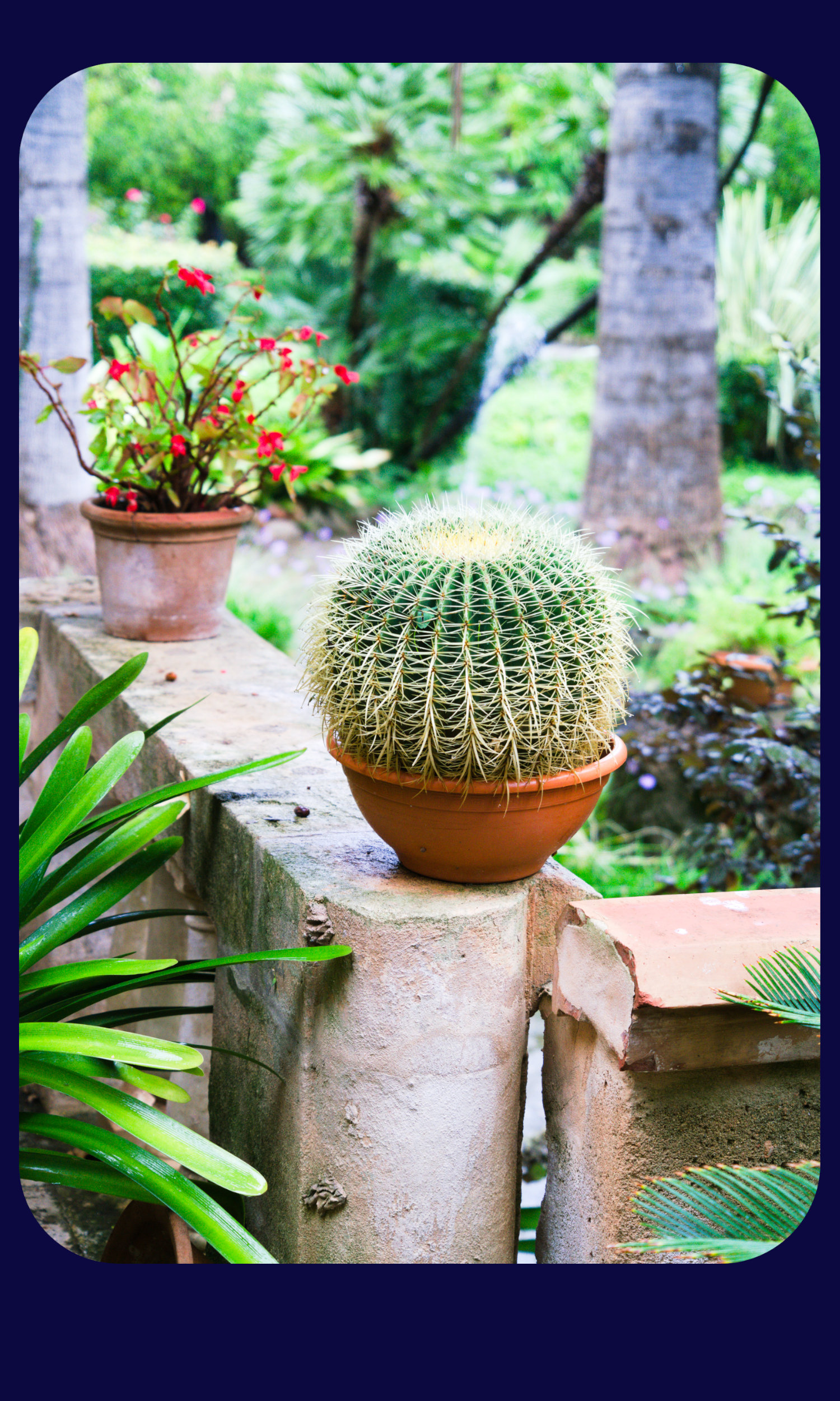 Mallorca Garten Alfabia